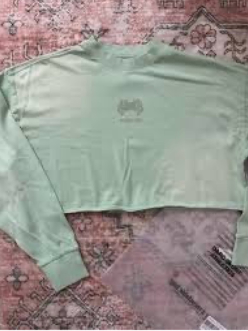 Darc Sport Cropped Mint Green Long-Sleeve Women's Top